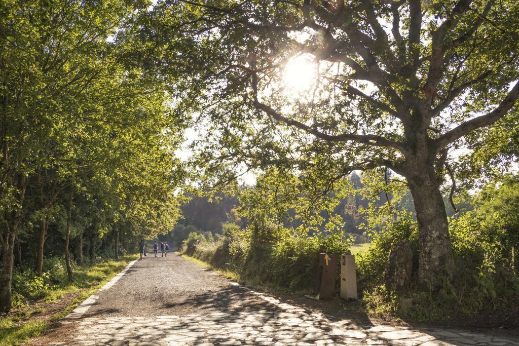 Alda Palas De Rei Bagian luar foto